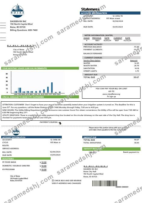USA Idaho Boise City of Trees water business utility bill template in Word and PDF formats